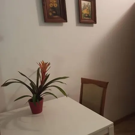 Hotel-hostel Saska
