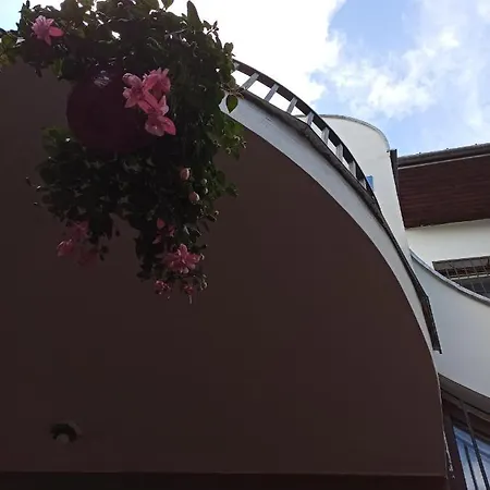Hostal Hotel-hostel Saska *