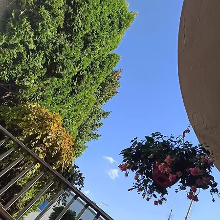 Hotel-hostel Saska *