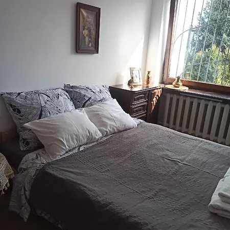 Hotel-hostel Saska 旅馆