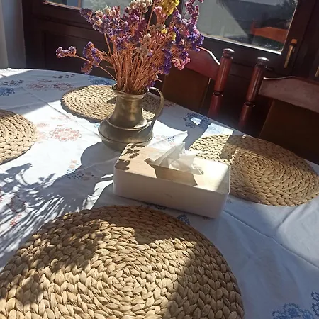 Hotel-hostel Saska Hostel